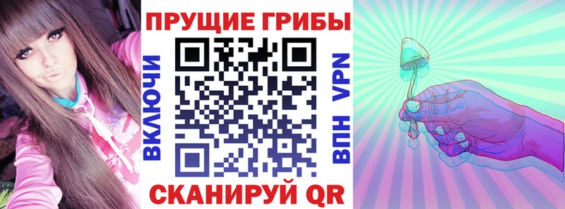 где продают   Тутаев  kraken как зайти  Галлюциногенные грибы прущие грибы 