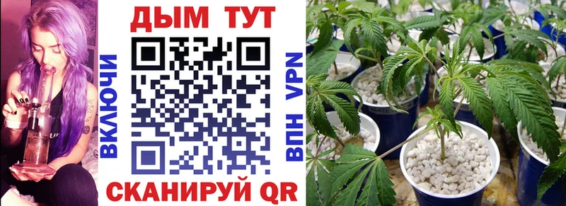 Марихуана ГИДРОПОН  купить наркоту  Тутаев 
